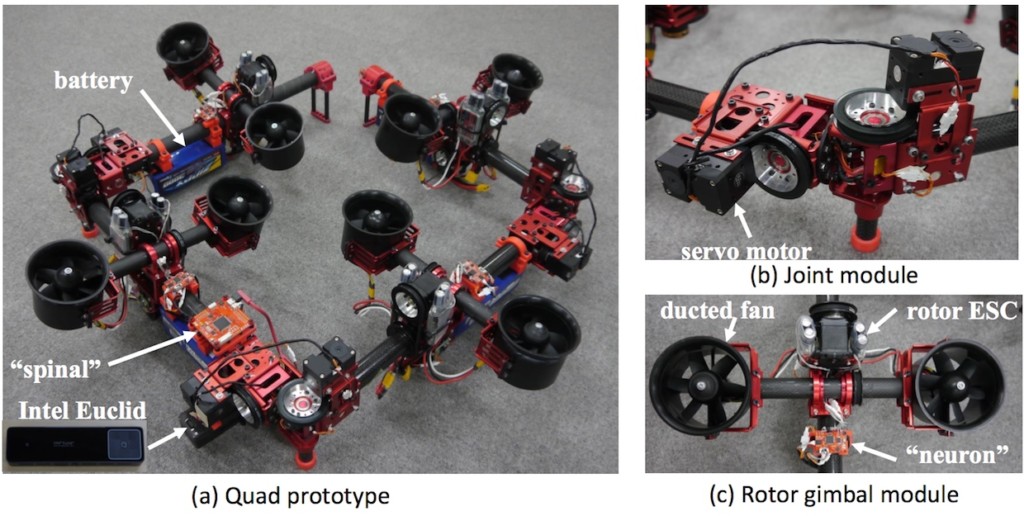 Dragon Drone