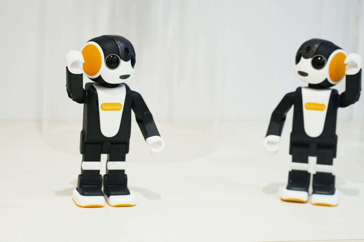 robohon