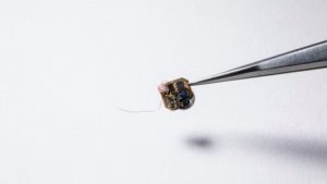 Žijúci IoT Senzor - batôžtek pre čmeliakov