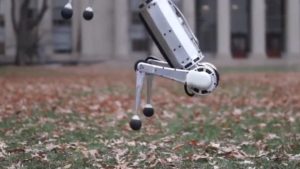 Pohyby Mini Cheetah robota